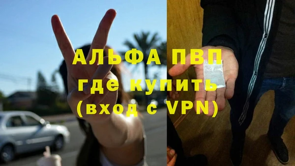 сатива Майский