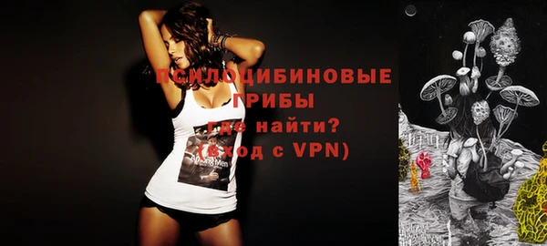гидра Михайлов