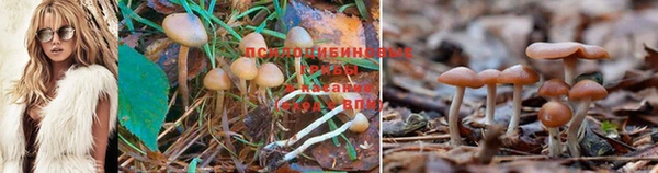 эйфоретик Медногорск