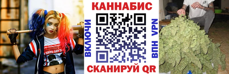 Шишки марихуана сатива  Нефтекумск 